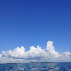 Meet your Posher, Dave